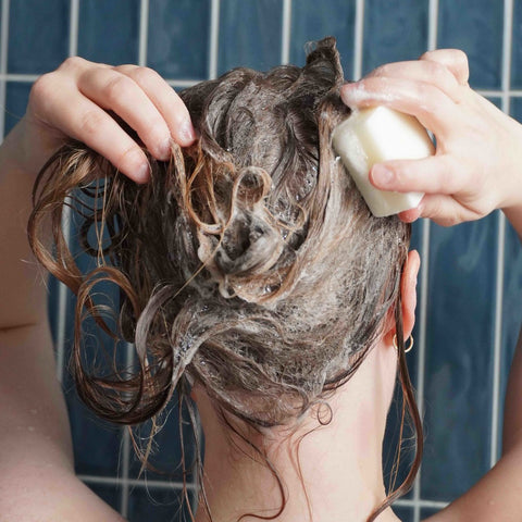 Gør håret vådt og fordel shampoo